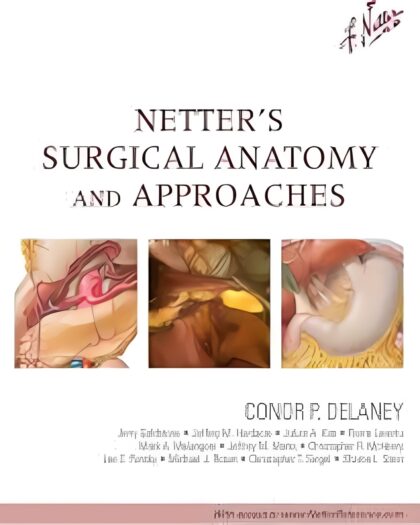 Netter's Surgical Anatomy and Approaches (Netter Clinical Science)
